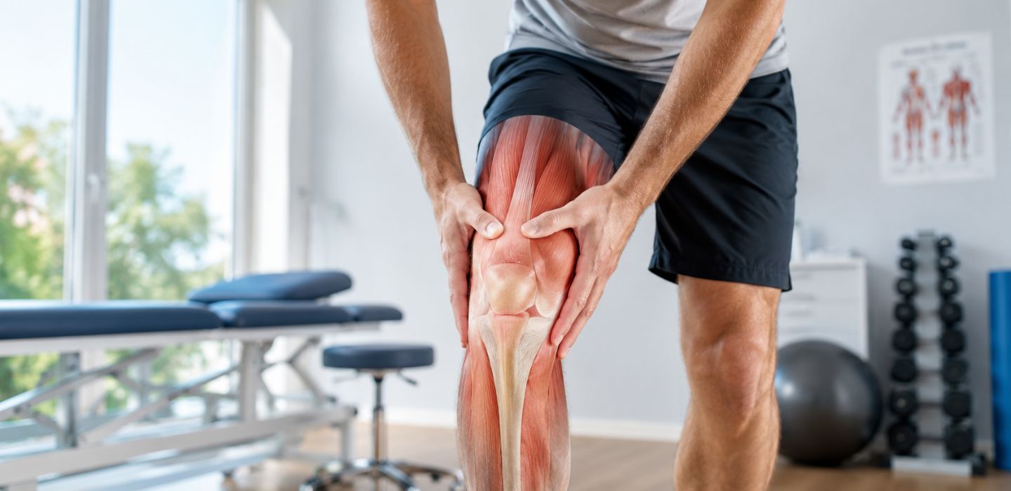 Les muscles du genou – rôle essentiel dans la mobilité et la stabilité articulaire Les muscles du genou : rôle essentiel dans la mobilité et la stabilité articulaire